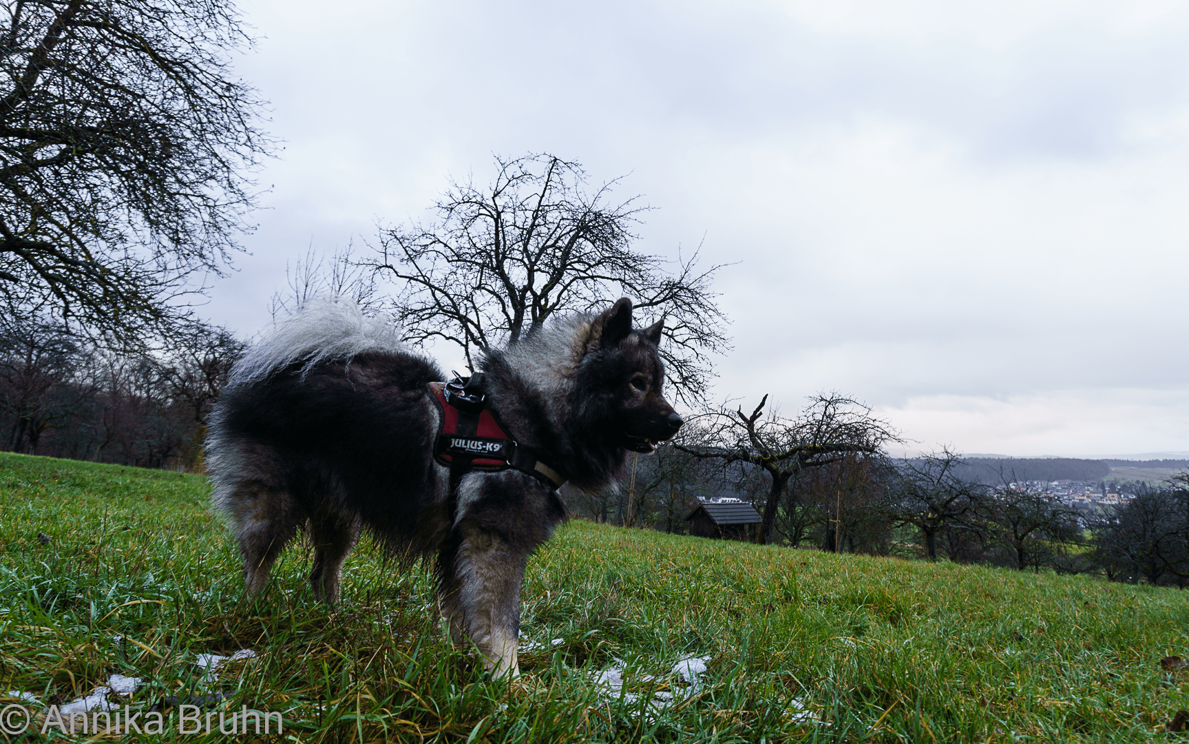 Q wartet auf den richtigen Moment